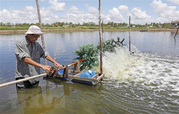 Long An targets at least 60,000 tonnes of aquaculture production